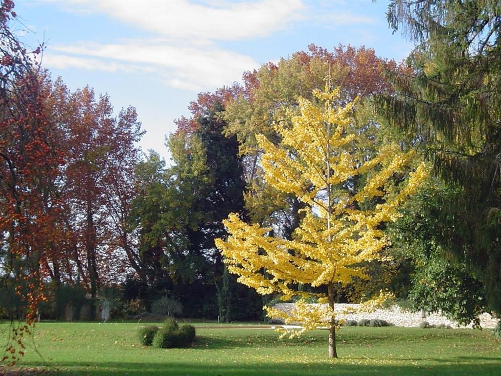 Chambres D'Hotes Chateau Beaupre Saint-Laurent-des-Arbres Εξωτερικό φωτογραφία